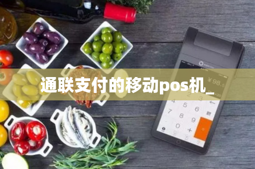 通联支付的移动pos机_