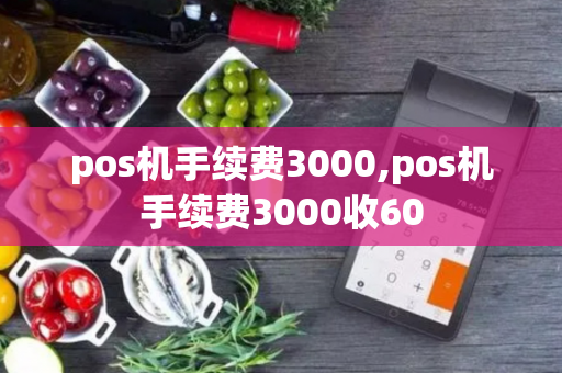 pos机手续费3000,pos机手续费3000收60