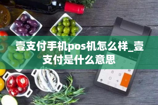 壹支付手机pos机怎么样_壹支付是什么意思