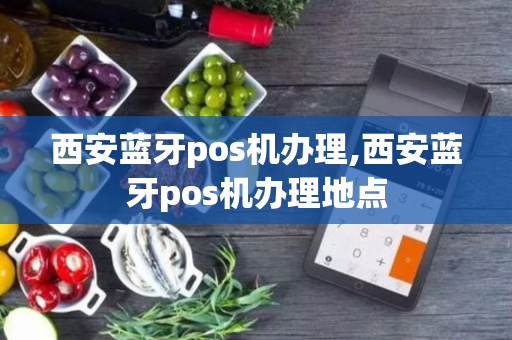 西安蓝牙pos机办理,西安蓝牙pos机办理地点