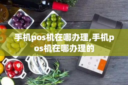 手机pos机在哪办理,手机pos机在哪办理的