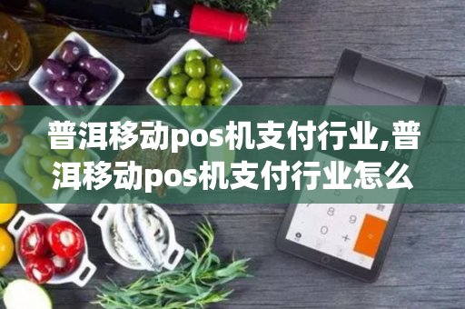 普洱移动pos机支付行业,普洱移动pos机支付行业怎么样