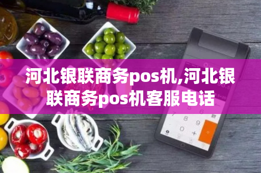 河北银联商务pos机,河北银联商务pos机客服电话