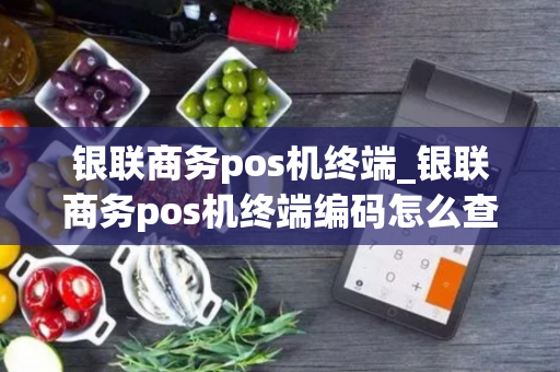 银联商务pos机终端_银联商务pos机终端编码怎么查询是哪个银行的