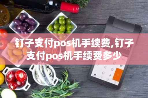 钉子支付pos机手续费,钉子支付pos机手续费多少