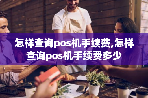 怎样查询pos机手续费,怎样查询pos机手续费多少