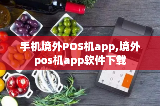 手机境外POS机app,境外pos机app软件下载