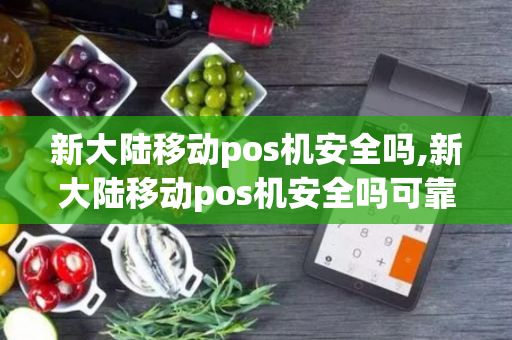 新大陆移动pos机安全吗,新大陆移动pos机安全吗可靠吗