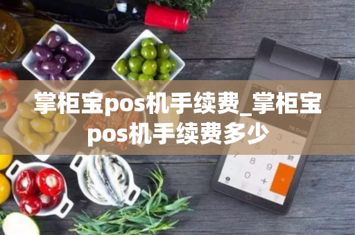 掌柜宝pos机手续费_掌柜宝pos机手续费多少