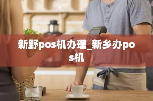 新野pos机办理_新乡办pos机