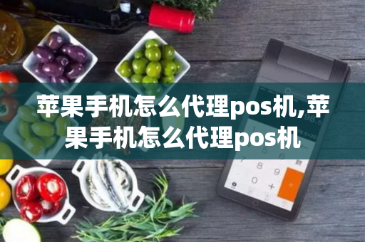 苹果手机怎么代理pos机,苹果手机怎么代理pos机