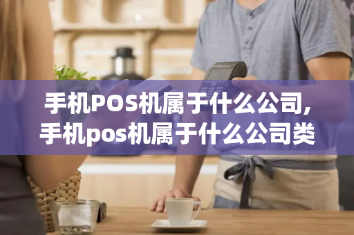 手机POS机属于什么公司,手机pos机属于什么公司类型