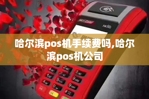 哈尔滨pos机手续费吗,哈尔滨pos机公司