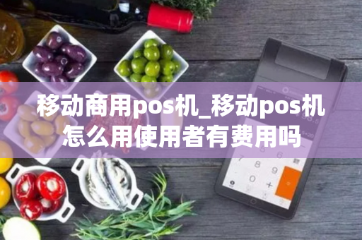 移动商用pos机_移动pos机怎么用使用者有费用吗