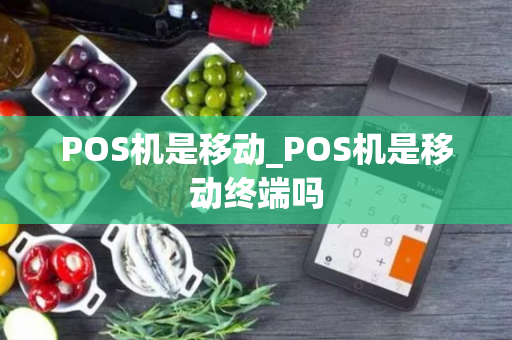 POS机是移动_POS机是移动终端吗