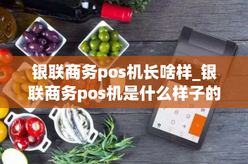 银联商务pos机长啥样_银联商务pos机是什么样子的