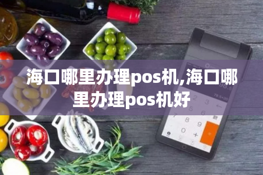 海口哪里办理pos机,海口哪里办理pos机好