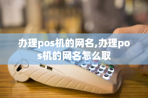 办理pos机的网名,办理pos机的网名怎么取