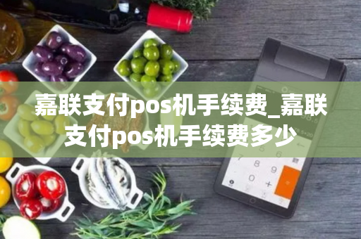 嘉联支付pos机手续费_嘉联支付pos机手续费多少