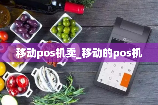 移动pos机卖_移动的pos机