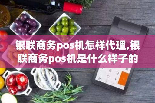 银联商务pos机怎样代理,银联商务pos机是什么样子的