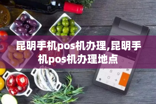 昆明手机pos机办理,昆明手机pos机办理地点