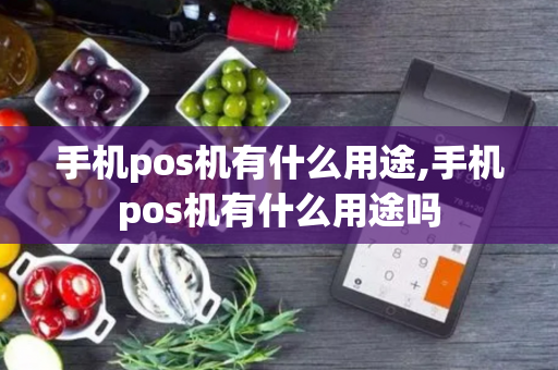 手机pos机有什么用途,手机pos机有什么用途吗