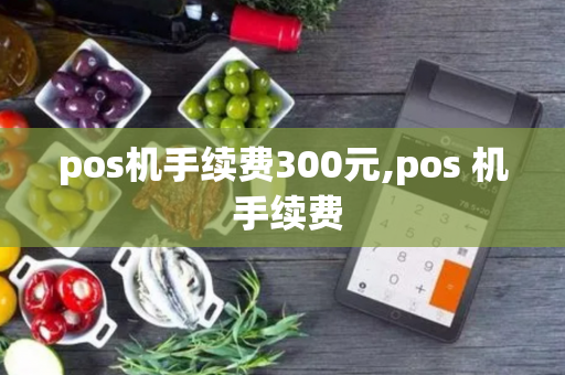 pos机手续费300元,pos 机 手续费