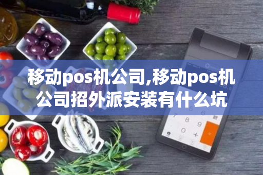 移动pos机公司,移动pos机公司招外派安装有什么坑