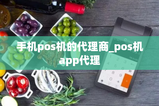 手机pos机的代理商_pos机app代理