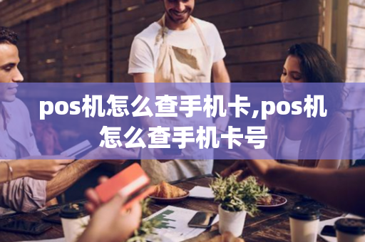 pos机怎么查手机卡,pos机怎么查手机卡号