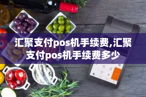 汇聚支付pos机手续费,汇聚支付pos机手续费多少