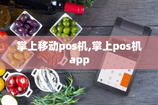 掌上移动pos机,掌上pos机app