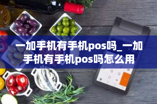 一加手机有手机pos吗_一加手机有手机pos吗怎么用