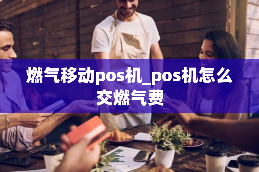 燃气移动pos机_pos机怎么交燃气费