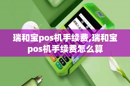 瑞和宝pos机手续费,瑞和宝pos机手续费怎么算