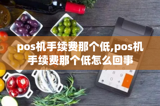 pos机手续费那个低,pos机手续费那个低怎么回事