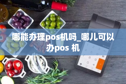 哪能办理pos机吗_哪儿可以办pos 机