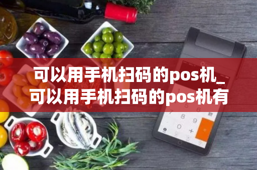 可以用手机扫码的pos机_可以用手机扫码的pos机有哪些