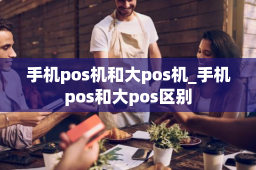 手机pos机和大pos机_手机pos和大pos区别