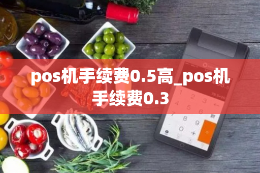 pos机手续费0.5高_pos机手续费0.3