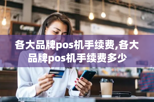 各大品牌pos机手续费,各大品牌pos机手续费多少