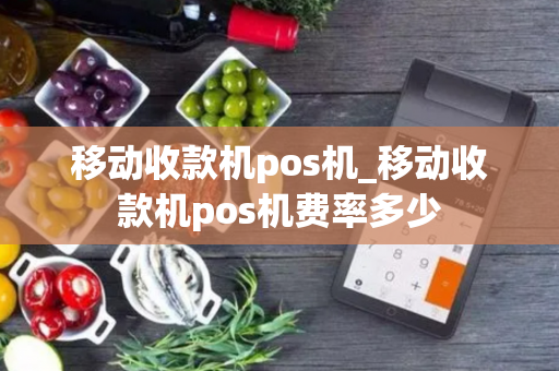 移动收款机pos机_移动收款机pos机费率多少