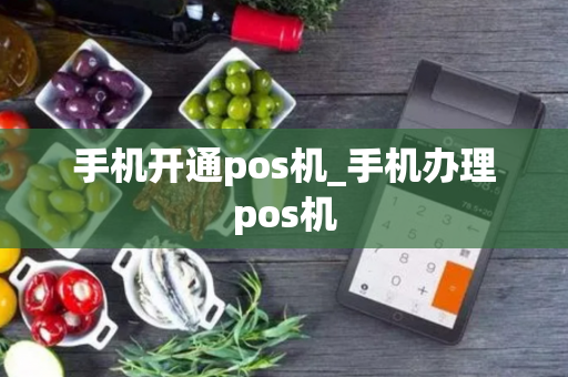 手机开通pos机_手机办理pos机