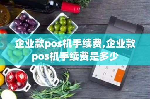 企业款pos机手续费,企业款pos机手续费是多少