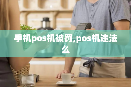 手机pos机被罚,pos机违法么