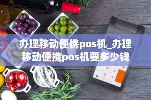 办理移动便携pos机_办理移动便携pos机要多少钱