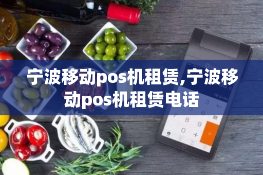 宁波移动pos机租赁,宁波移动pos机租赁电话