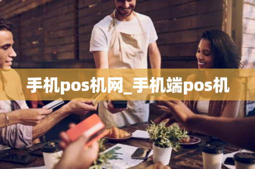 手机pos机网_手机端pos机