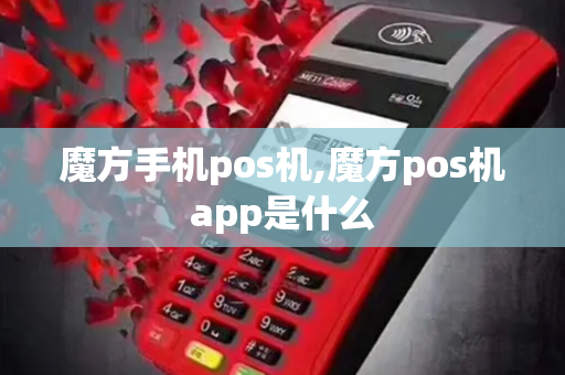 魔方手机pos机,魔方pos机app是什么